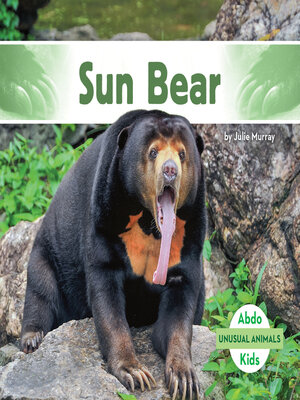 cover image of Sun Bear
